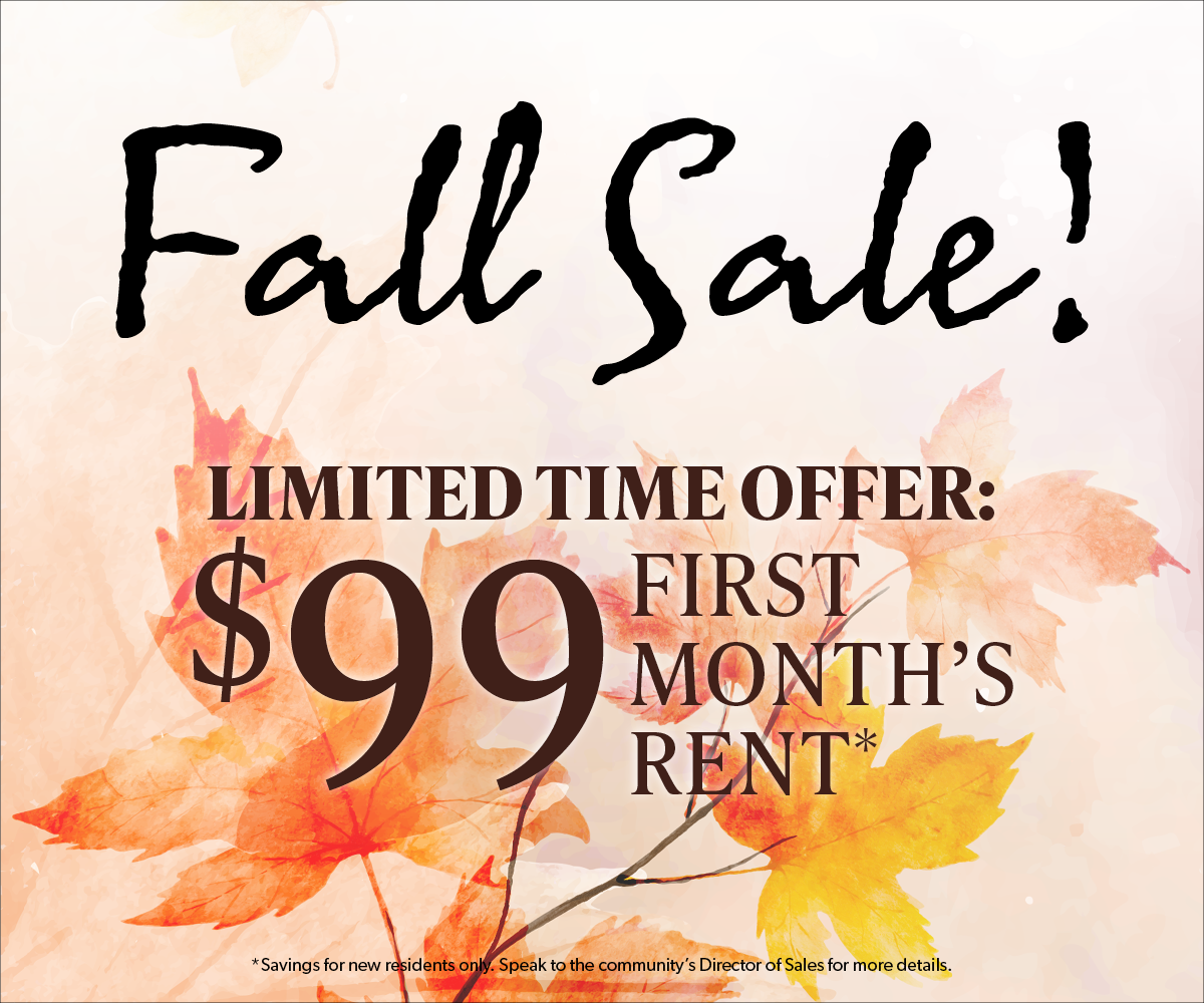 Slider_Fall Sale_Oct2025_1200 x 1000